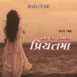 Najuk Namni Priytama - 12 by Sneha Patel in Gujarati