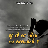 upadhyay nilay profile