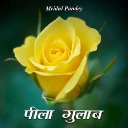 Pila gulab by Mridul in Hindi