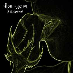 RK Agrawal द्वारा लिखित  Pila Gulab बुक Hindi में प्रकाशित