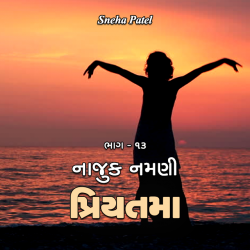Najuk Namni Priytama - 13 by Sneha Patel in Gujarati