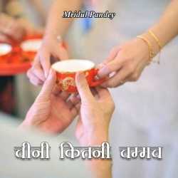 Chini kitani chammach by Mridul in Hindi
