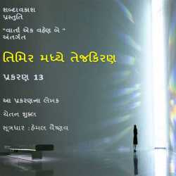 તિમિર મધ્યે તેજ કિરણ -13 દ્વારા Shabdavkash in Gujarati