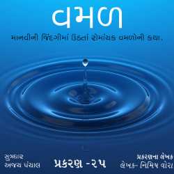 વમળ - 25 દ્વારા Shabdavkash in Gujarati