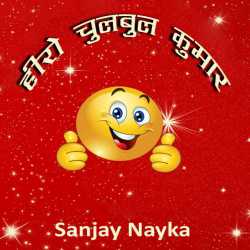 Sanjay Nayka द्वारा लिखित  Hiro chulbul kumar बुक Hindi में प्रकाशित