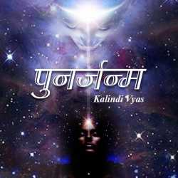 Jay Dave द्वारा लिखित  PunarJanma बुक Hindi में प्रकाशित