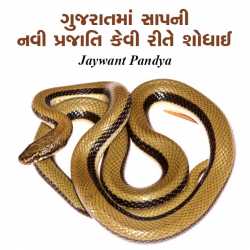 Gujaratma Sapni navi prajati kevi rite shodhai by Jaywant Pandya in Gujarati