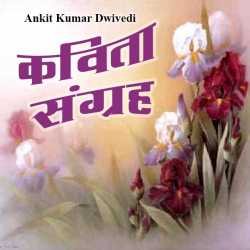 कवि अंकित द्विवेदी द्वारा लिखित  kavita sangrah बुक Hindi में प्रकाशित