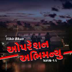 ઓપરેશન અભિમન્યુ - 12 દ્વારા Vihit Bhatt in Gujarati