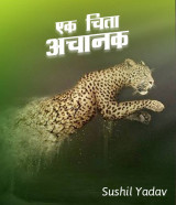 sushil yadav profile
