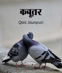 Kabootar by Qais Jaunpuri in Hindi