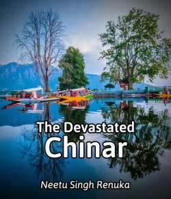 The Devastated Chinar
