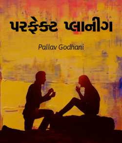Perfect Planning by Pallav Godhani in Gujarati