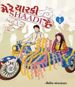 Mere yaarki shadi hai by Naimish Ambasana in Gujarati