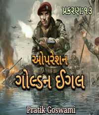 operation golden eagle - 13