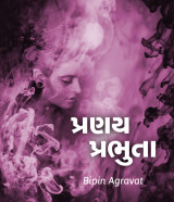 Bipin Agravat profile