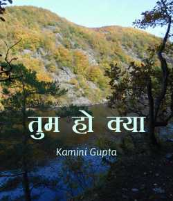 Tum ho kya by Kamini Gupta in Hindi