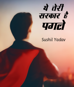 sushil yadav द्वारा लिखित  Ye teri sarkar hai pagle बुक Hindi में प्रकाशित