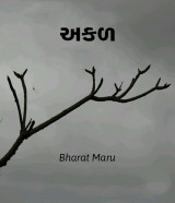 bharat maru profile