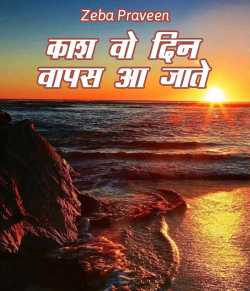 zeba Praveen द्वारा लिखित  Kaash vo din vapas aa jate बुक Hindi में प्रकाशित