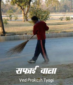 Ved Prakash Tyagi द्वारा लिखित  Safai wala बुक Hindi में प्रकाशित