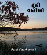 Patel Vinaykumar I profile