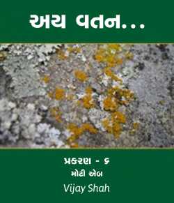 Ay vatan - 6 by Vijay Shah in Gujarati