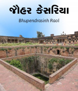 Bhupendrasinh Raol profile