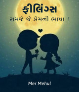 Mehul Mer profile