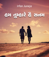 હમ તુમ્હારે હૈ સનમ by Irfan Juneja in Gujarati