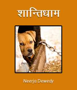 Neerja Dewedy द्वारा लिखित  Shantidham बुक Hindi में प्रकाशित