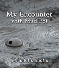 My Encounter with Mud Pot