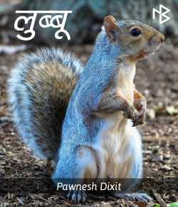 Lubbu by Pawnesh Dixit in Hindi