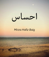 Mirza Hafiz Baig profile