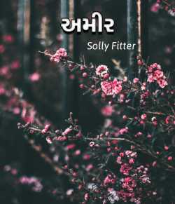 Amir by solly fitter in Gujarati
