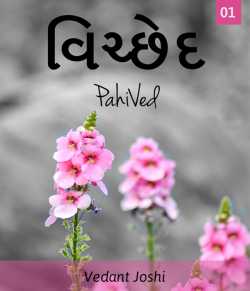 Vichhed - 1 by Vedant Joshi in Gujarati