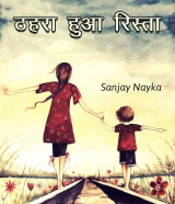 Sanjay Nayka profile