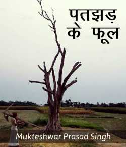 Patjhad ke phool by Mukteshwar Prasad Singh in Hindi