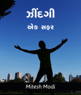 mitesh modi profile