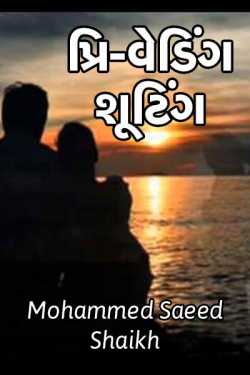Pre Wedding shooting by Mohammed Saeed Shaikh in Gujarati