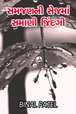 Samjanni sejma samaani jindagi by BINAL PATEL in Gujarati