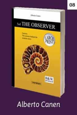 The observer of Genesis - THE OBSERVER. Contemplating creation. Chapter 8 by Alberto Canen in English