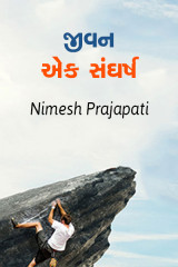 Nimesh Prajapati profile