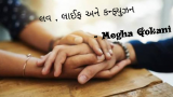 લવ, લાઈફ અને કન્ફ્યુઝન દ્વારા Megha gokani in Gujarati