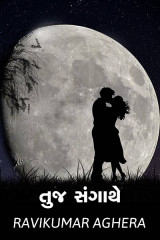 તુજ સંગાથે... by RaviKumar Aghera in Gujarati