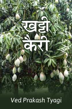khatti kairi by Ved Prakash Tyagi in Hindi