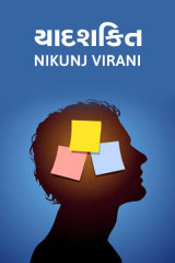 Nikunj Virani profile