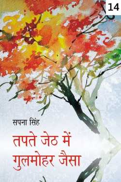 Sapna Singh द्वारा लिखित  Tapte Jeth me Gulmohar Jaisa - 14 बुक Hindi में प्रकाशित