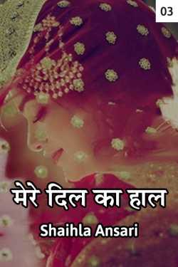 Shaihla Ansari द्वारा लिखित  Mere dil ka haal - 3 बुक Hindi में प्रकाशित