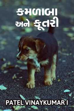 Kamlaba ane kutri by Patel Vinaykumar I in Gujarati